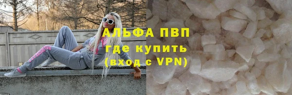 индика Сосновка