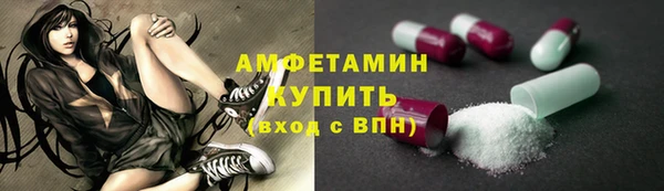 ПСИЛОЦИБИНОВЫЕ ГРИБЫ Верея