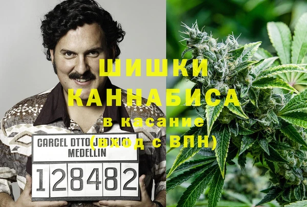 ПСИЛОЦИБИНОВЫЕ ГРИБЫ Верея