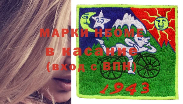 индика Сосновка