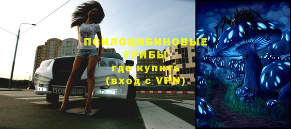 молекула духа Чегем