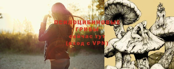 mdma Бородино