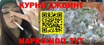 гашик Славгород