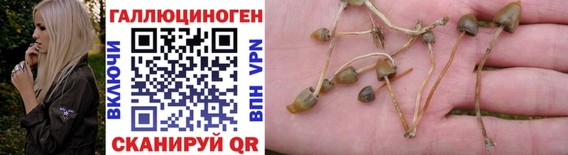 Галлюциногенные грибы GOLDEN TEACHER  Можайск 