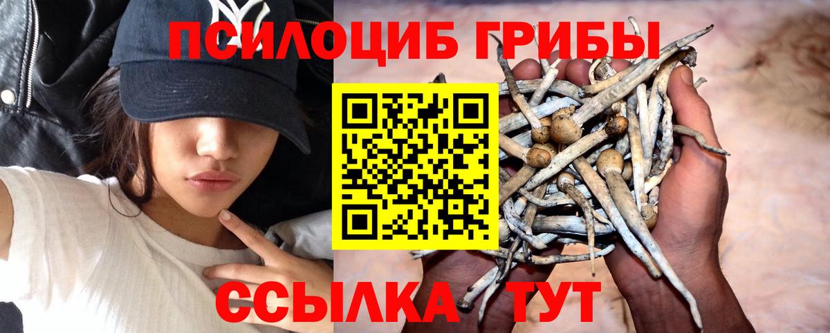 Можайск  Псилоцибиновые грибы Psilocybe  Вход с VPN  Галлюциногенные грибы Magic Shrooms 